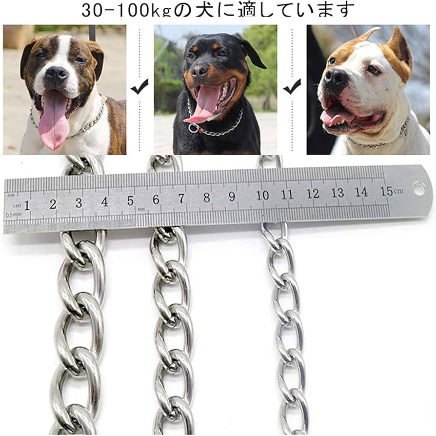 Wanbull しつけ用首輪 ワンブル「リニューアルモデル」（1年補償付き） : エクスン